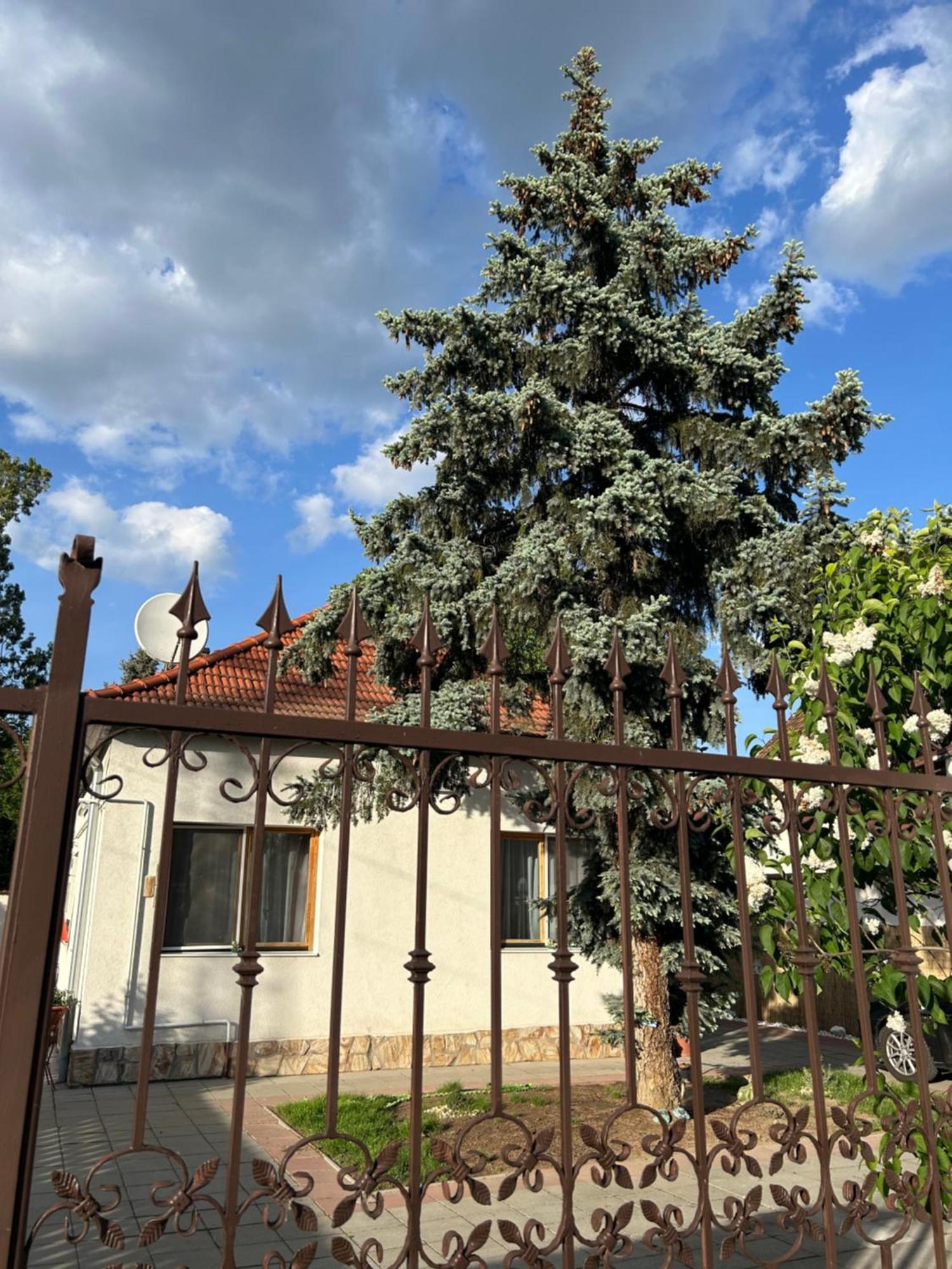 Tavaszpart Vendeghaz Apartamento Szeged Exterior foto